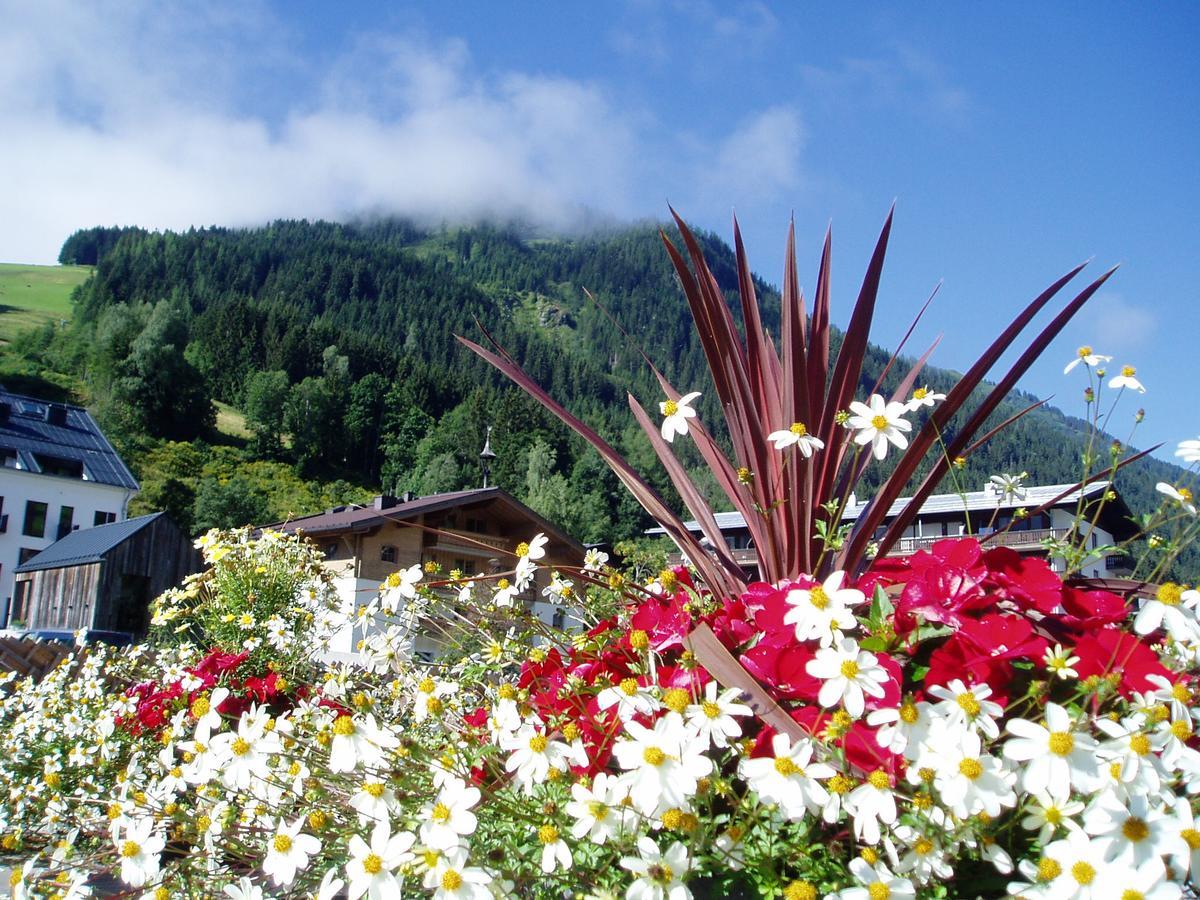 Am Zwölferkogel 2*