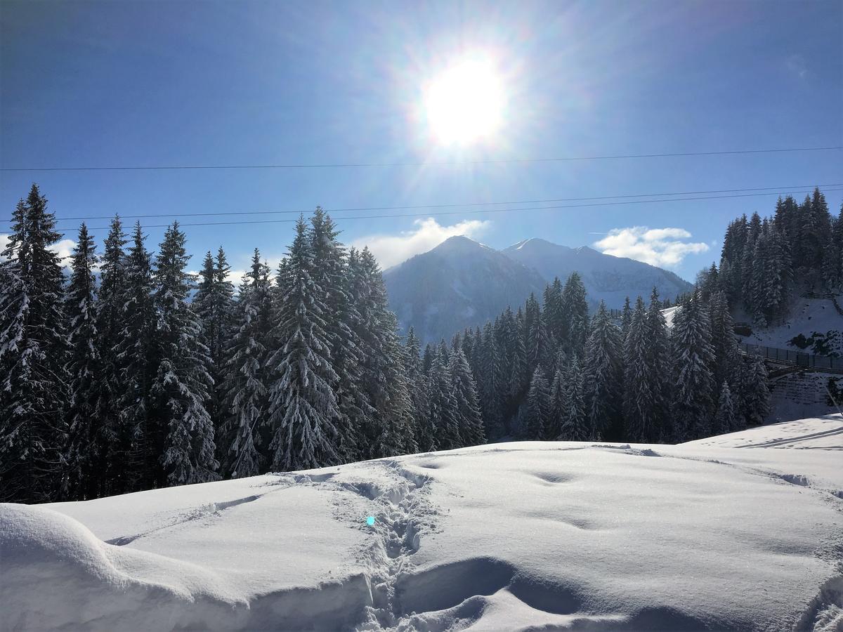 Am Zwölferkogel 2*