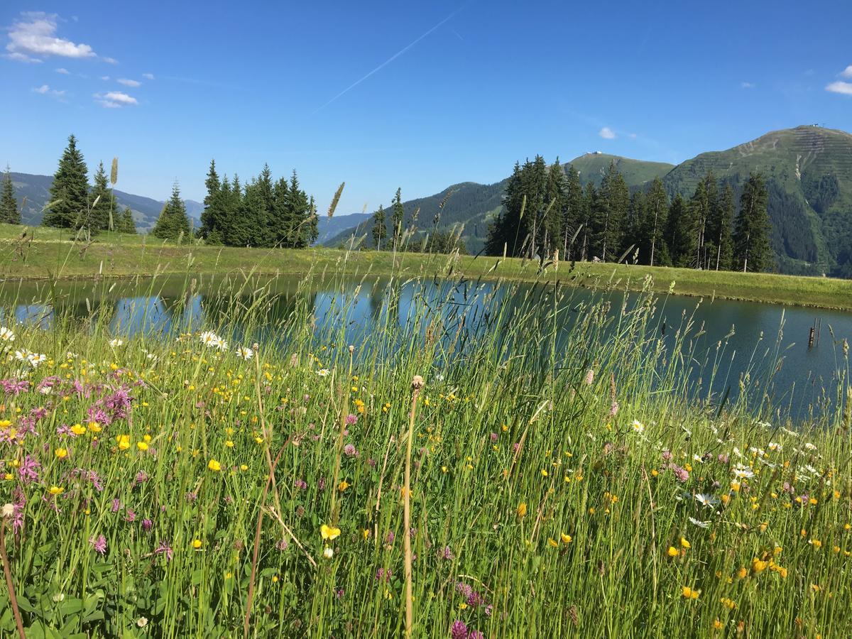 Am Zwoelferkogel Appart hôtel Saalbach-Hinterglemm